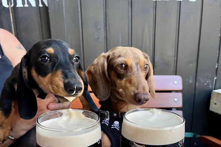 Pet Friendly Kennedy's Bar and Restaurant