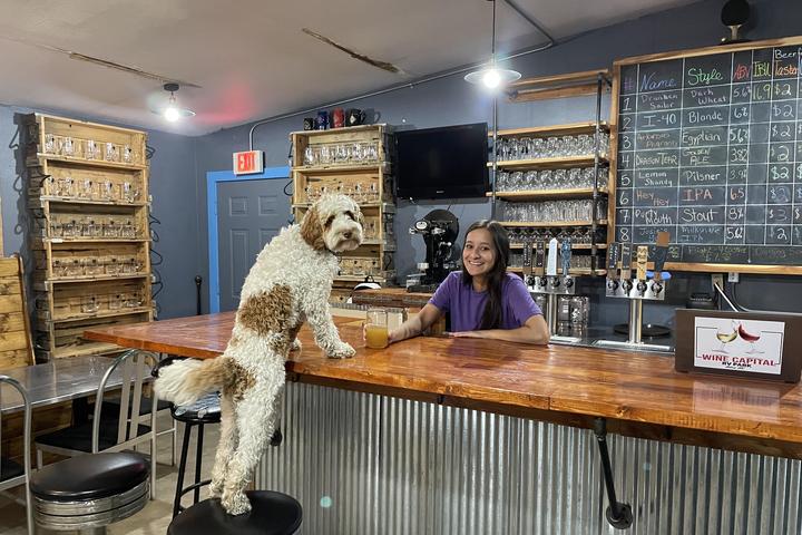 Pet Friendly Ox Bend Brewing Company
