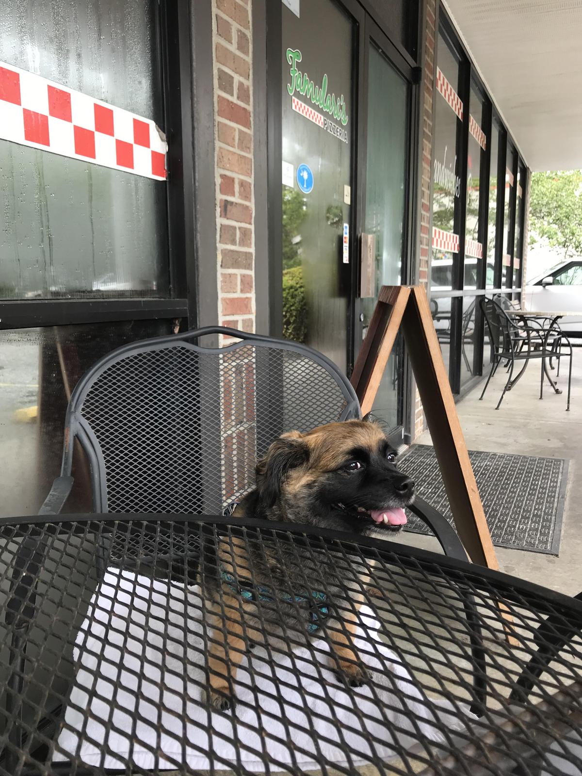 Famulari's Pizzeria Oakbrook Is Pet Friendly