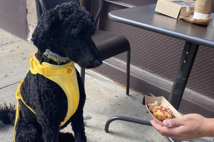 Pet Friendly Peace, Love and Little Donuts, Strip District