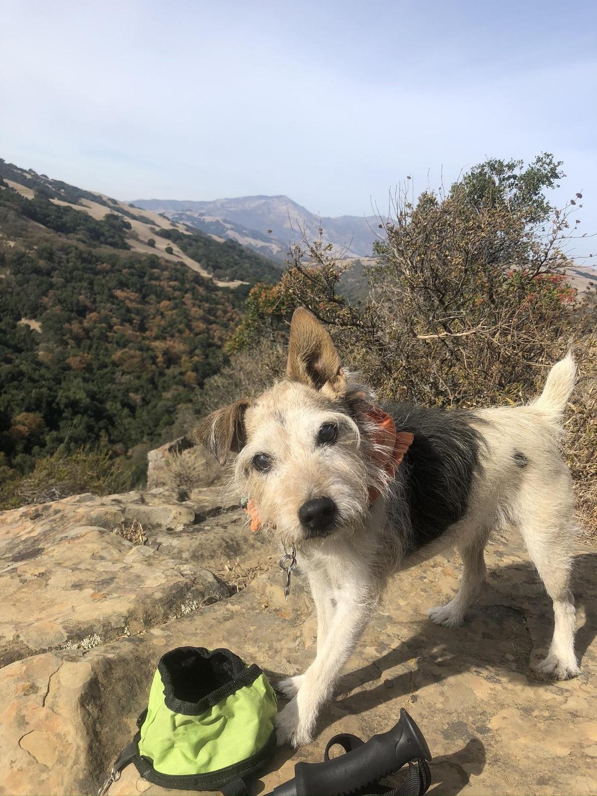 Morgan Territory Regional Preserve morgan-territory-regional-preserve