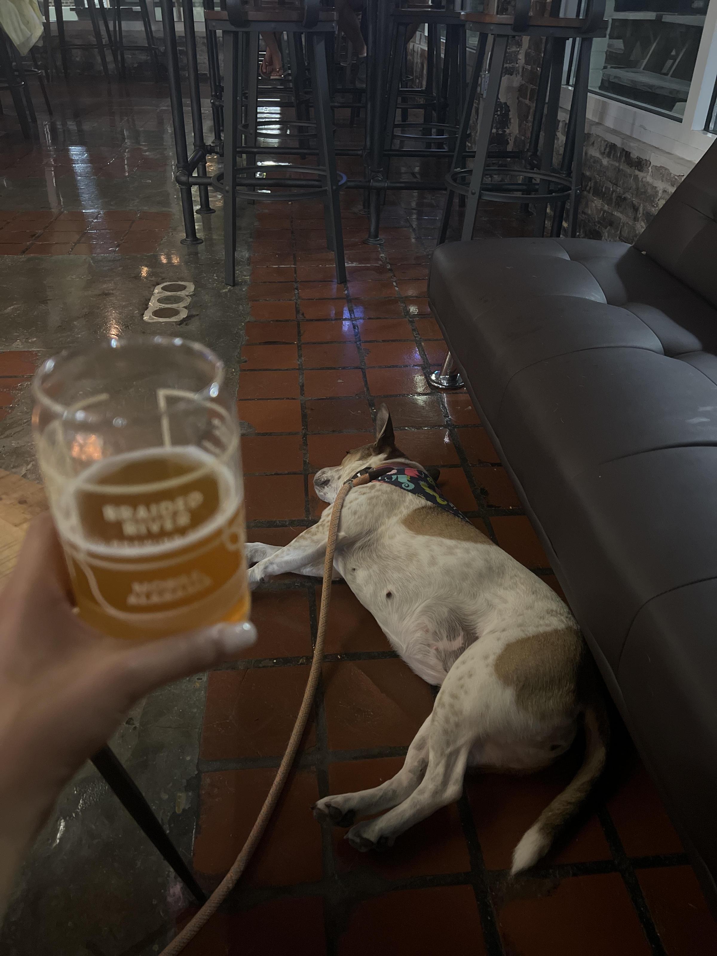 Pet Friendly Braided River Brewing Company