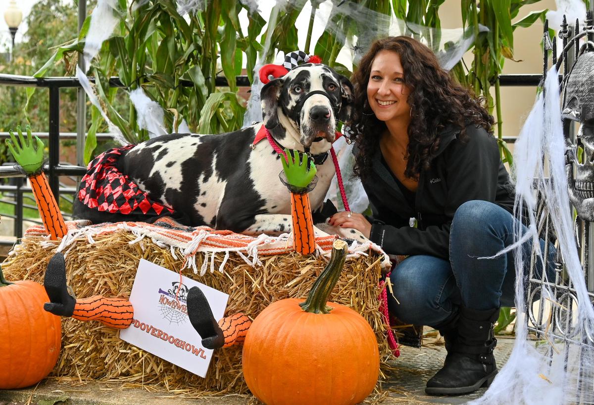 Dover Dog Howloween Costume Contest & Parade