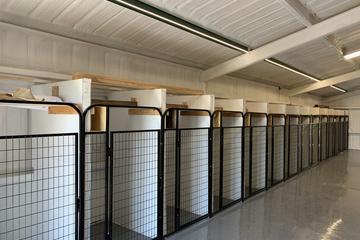 Green acres dog deals boarding