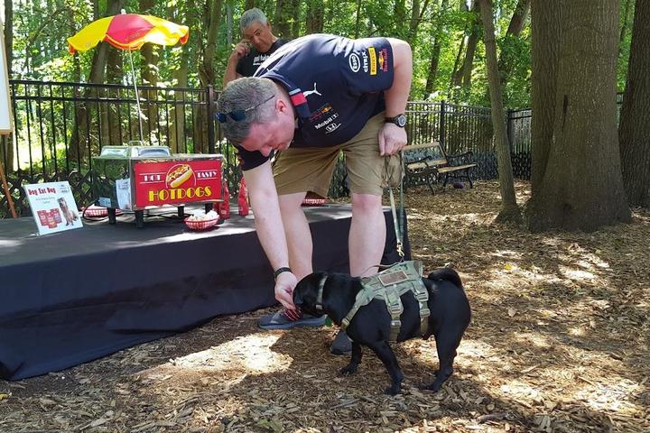 Pet Friendly Dog Eat Dog - Wild Weenie Eating Contest