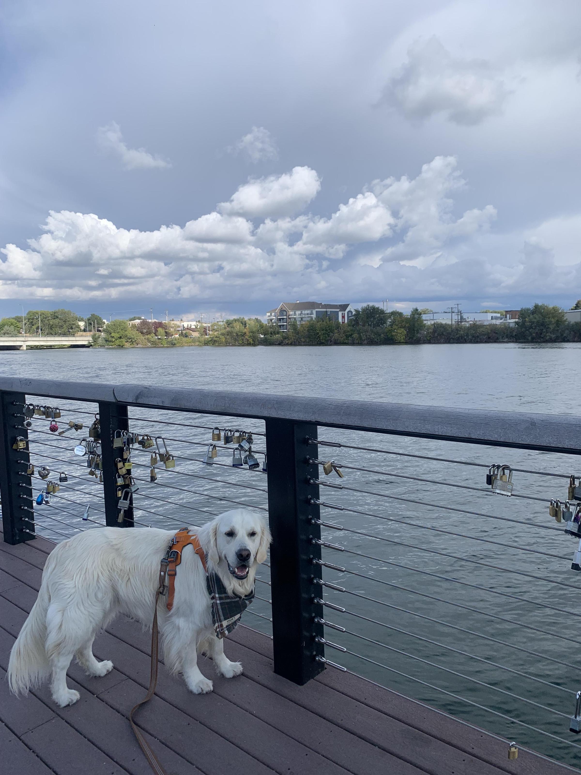 Idaho Falls River Walk