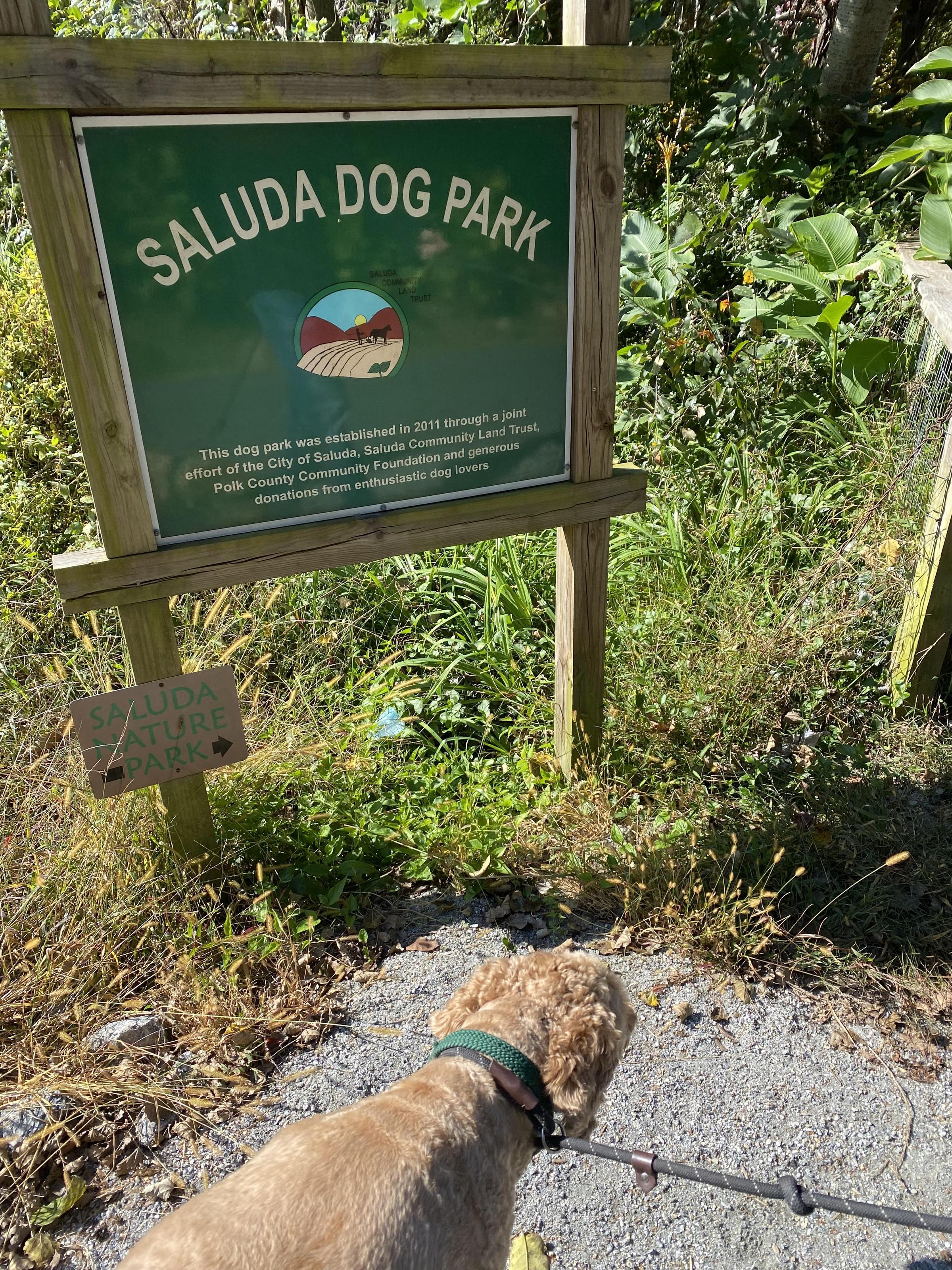 Pet Friendly Saluda Dog Park