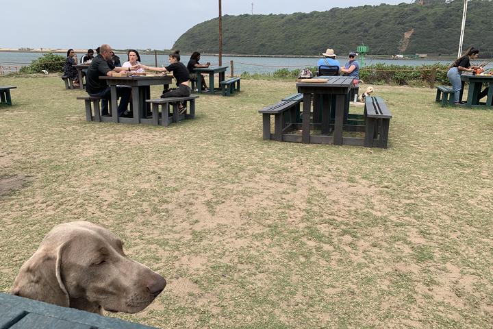 Pet Friendly On Point Waterfront