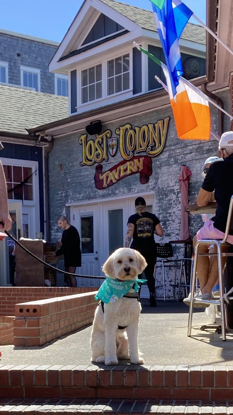 Pet Friendly Lost Colony Tavern