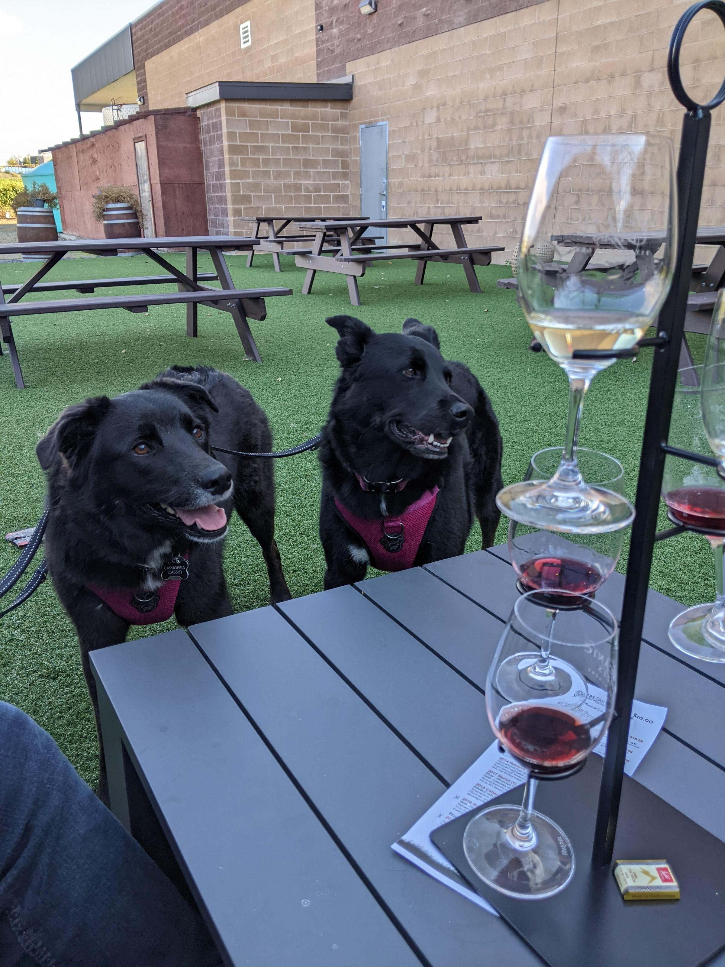 Volcanic Hills Estate Winery