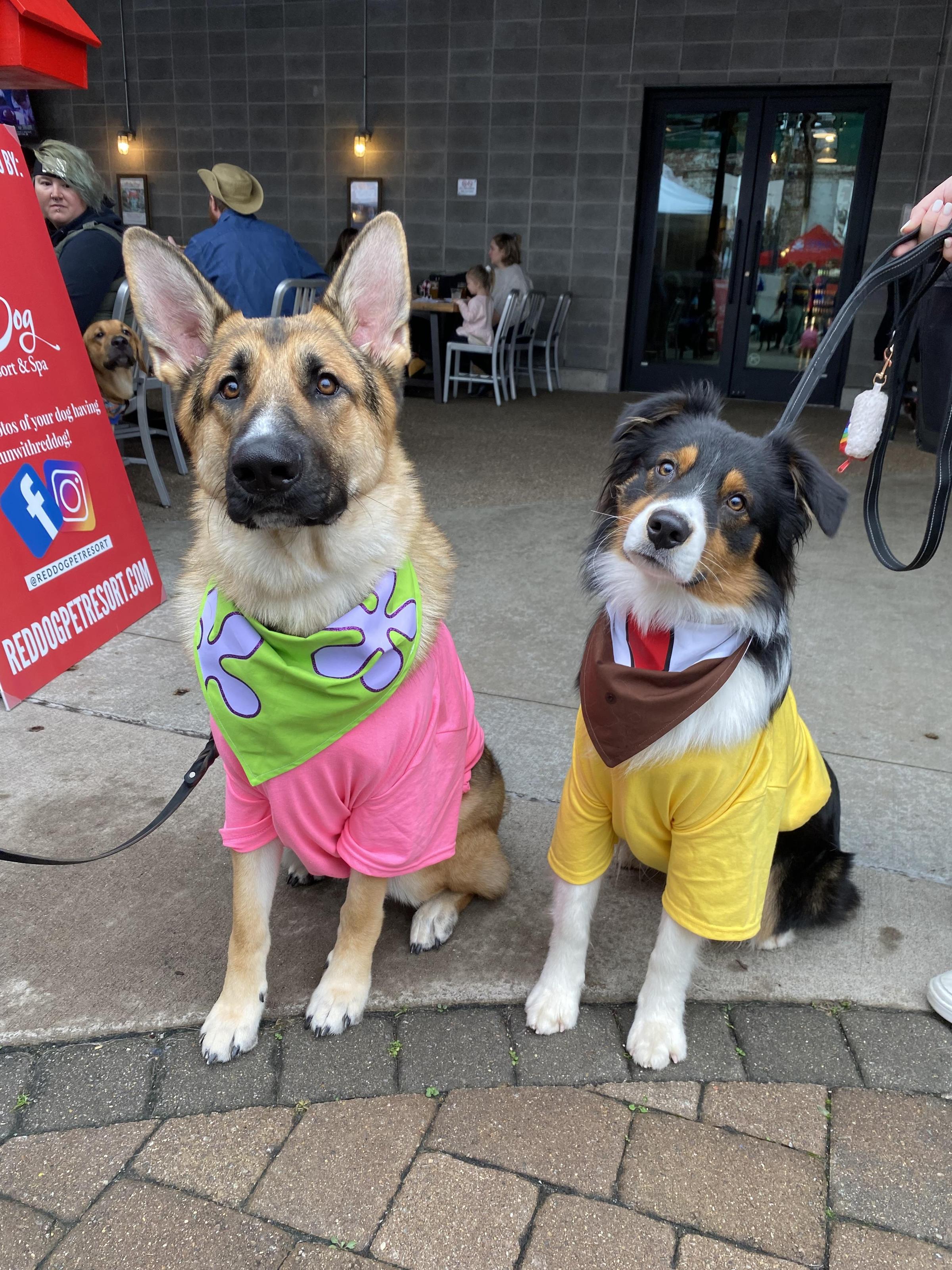 Bark in the Park: Meet 18 dogs with the coolest costumes from the