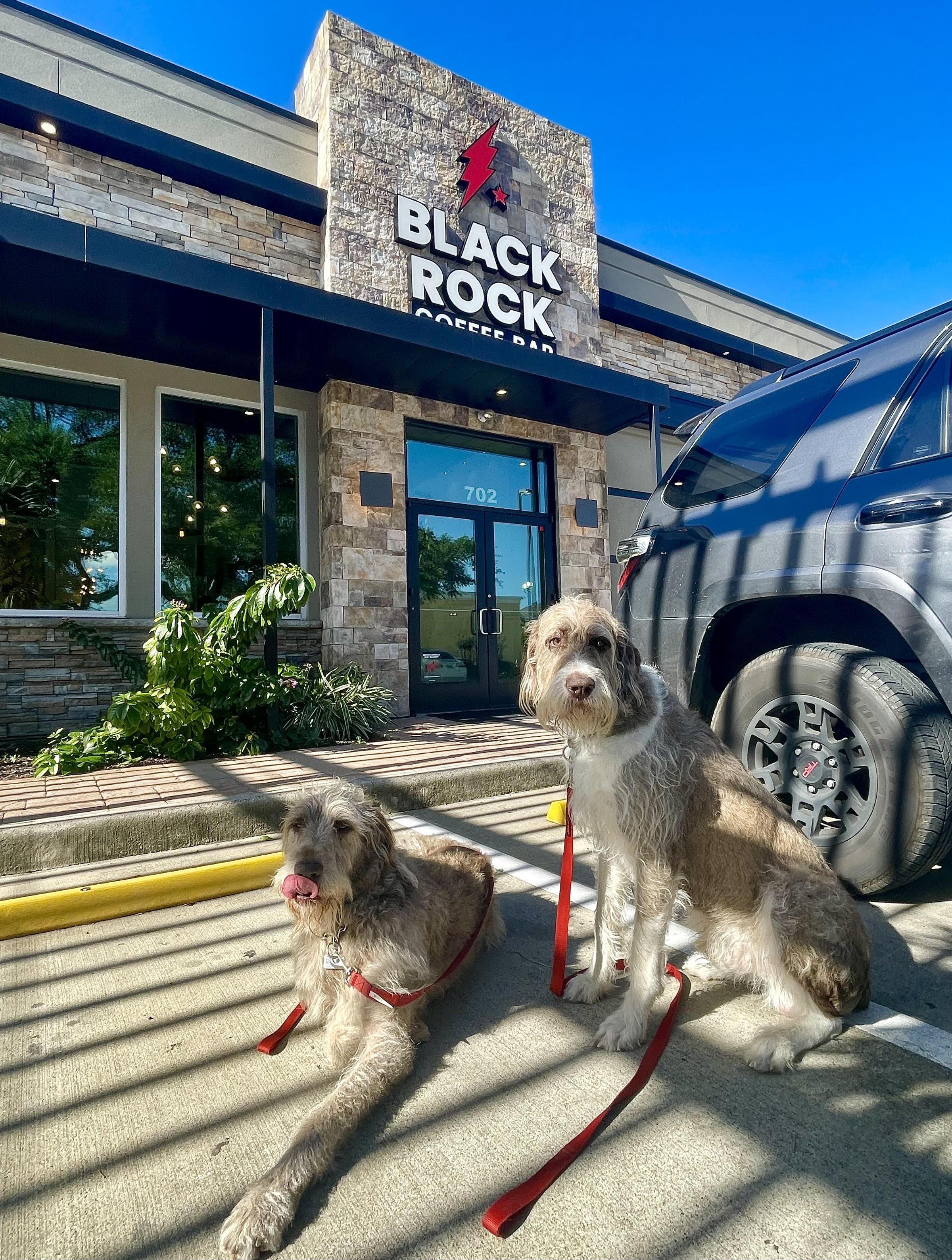 Pet Friendly Black Rock Coffee Bar