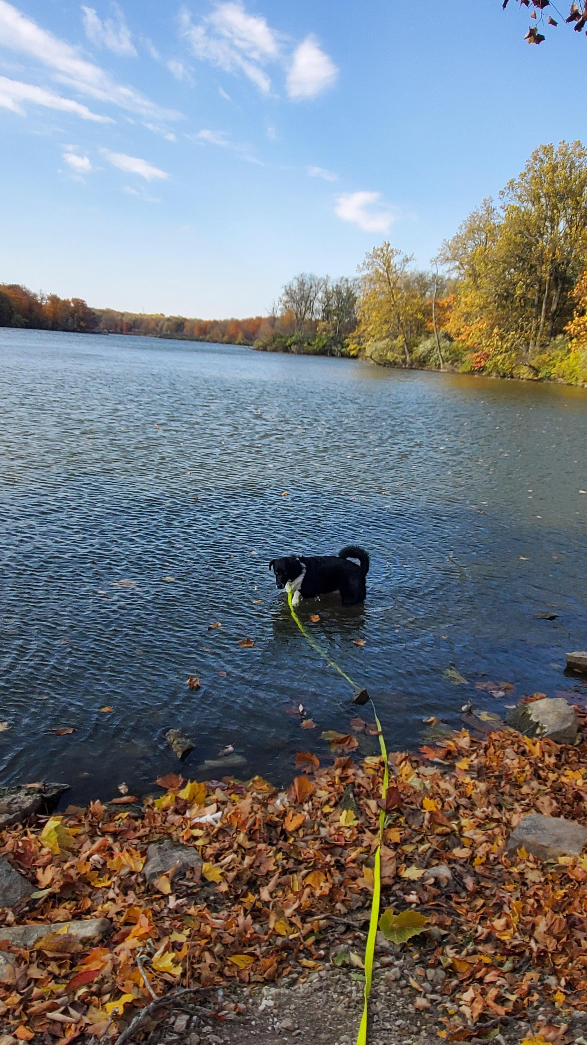 Pet Friendly Moraine View State Recreation Area