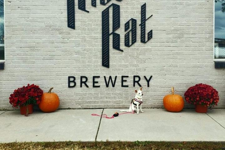 Pet Friendly River Rat Brewery