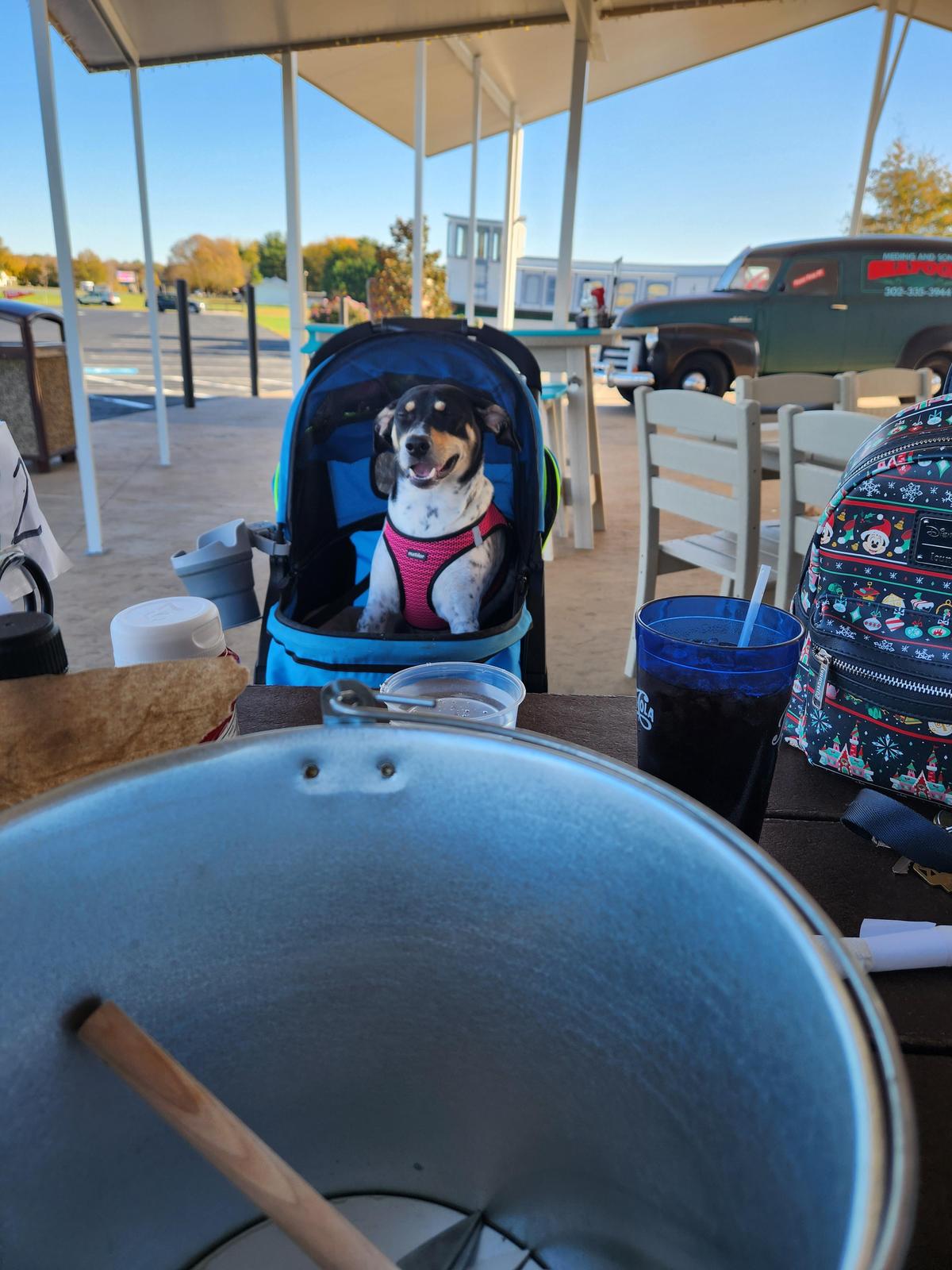 ドッグフード monyuki ドッグフード monyuki ドッグフード オーストラリア産 1.8kg | JYULL