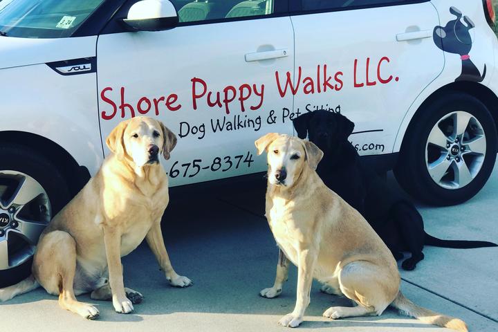 Pet Friendly Shore Puppy Walks, LLC
