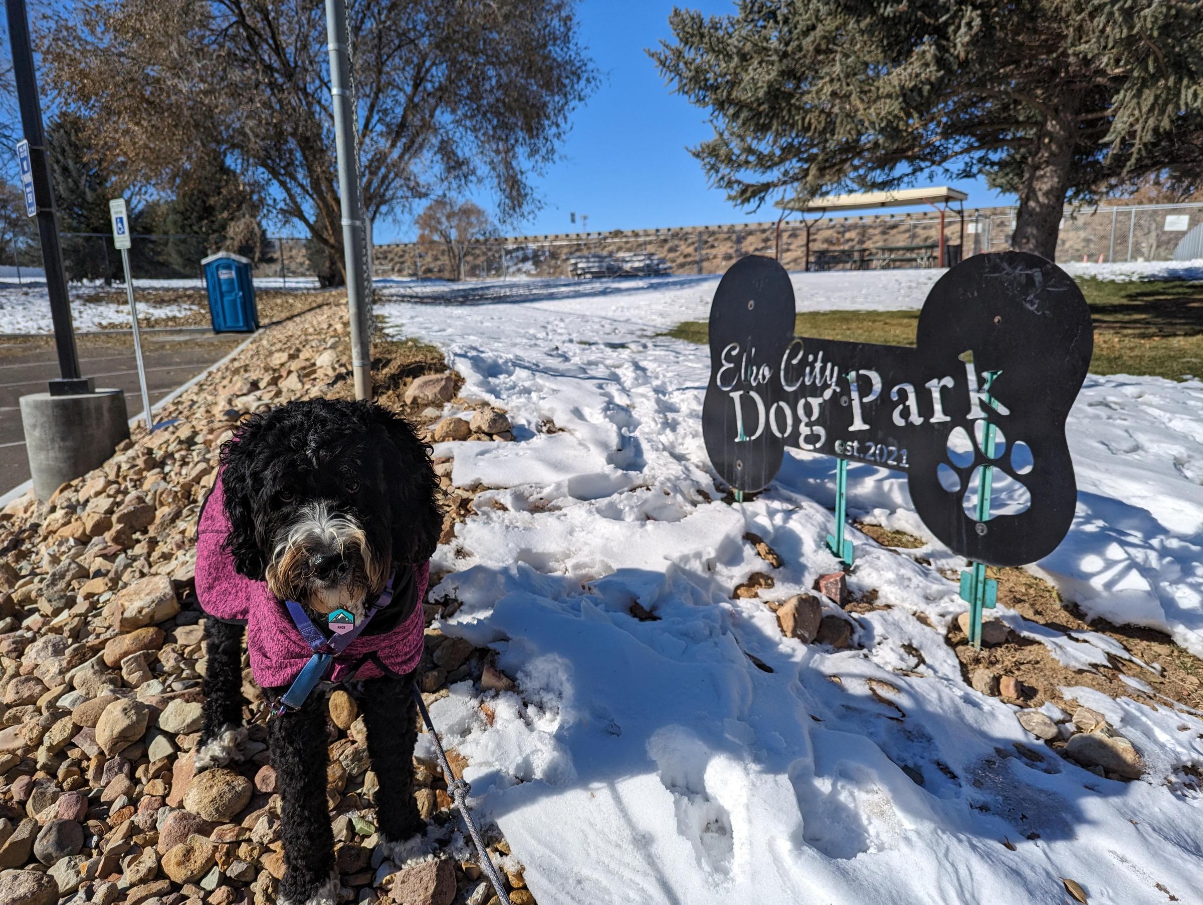 Pet Friendly Elko City Dog Park