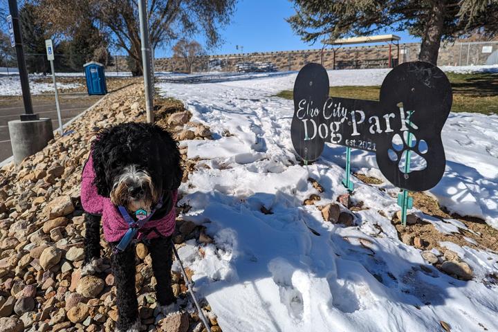 Pet Friendly Elko City Dog Park