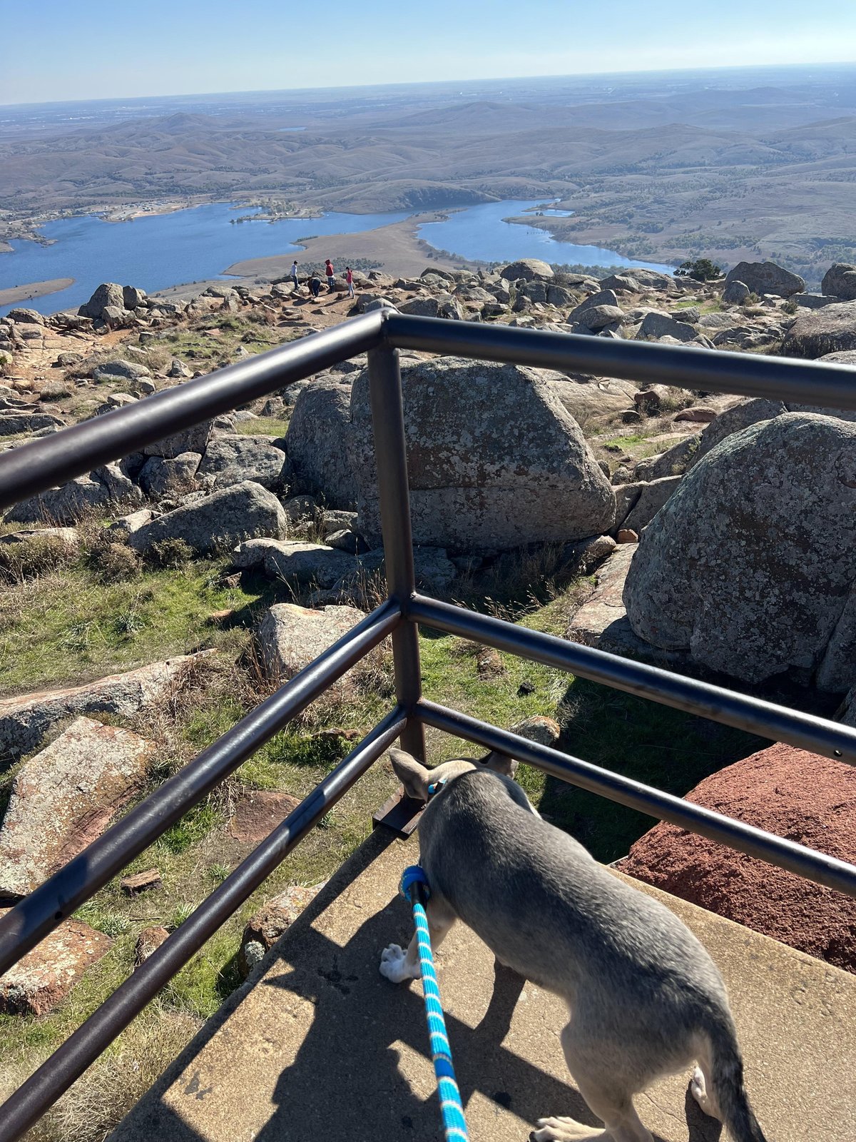 A dog at the summit of pet-friendly Mount Scott in Lawton, OK.