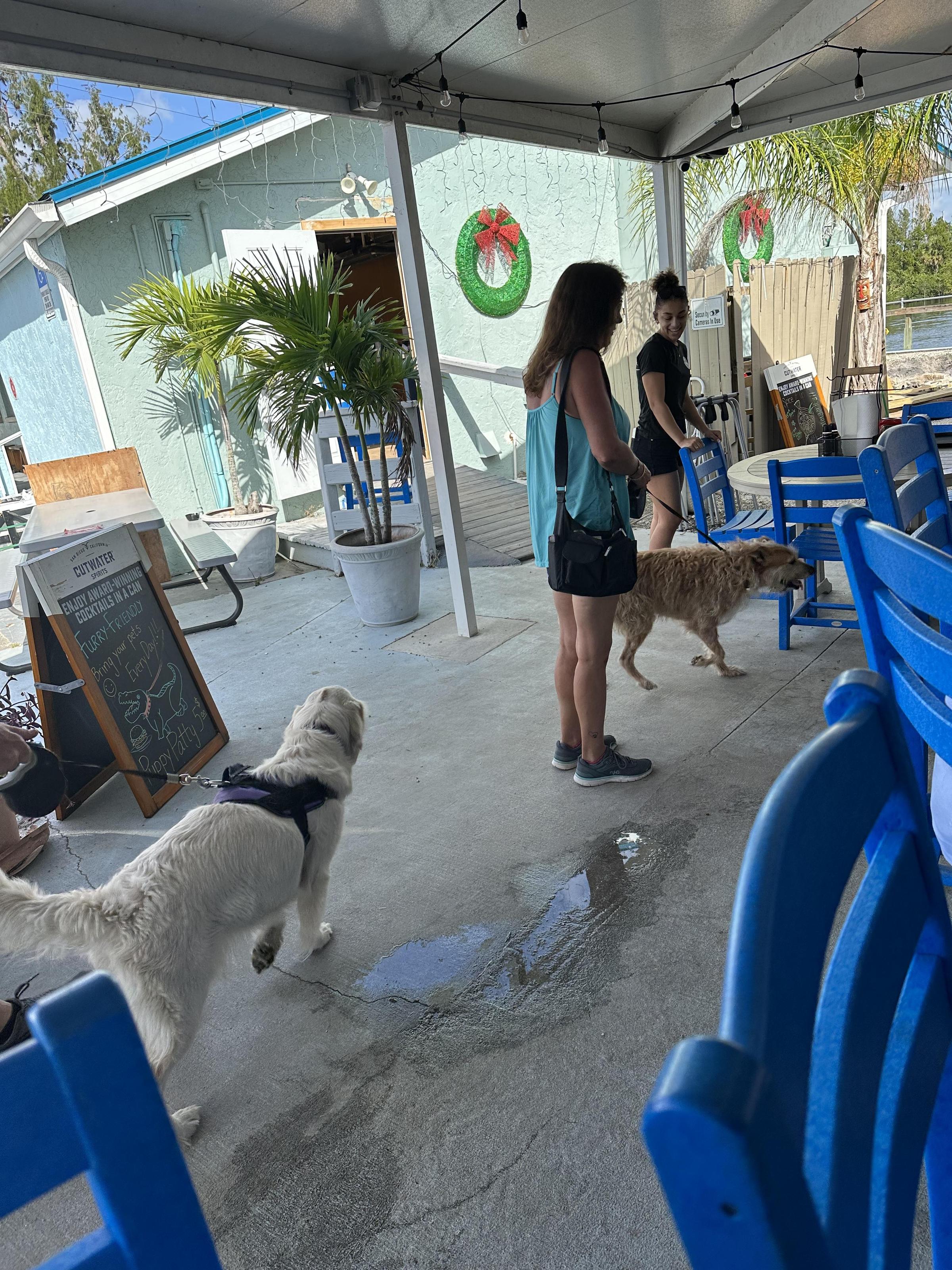 Pet Friendly Tarpon Point Grill & Marina