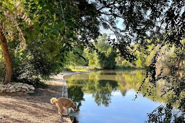 Pet Friendly Together Treasure Valley Dog Island