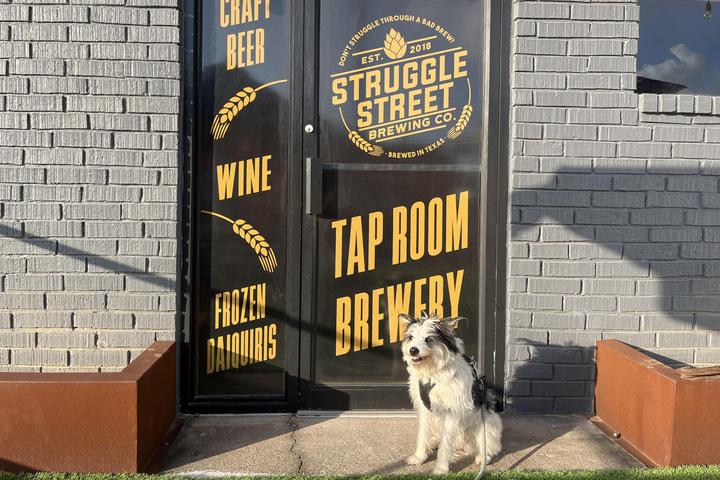 Pet Friendly Struggle Street Brewing Company