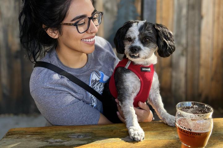 Dog Friendly Activities Denver: Unleash Adventure Fun