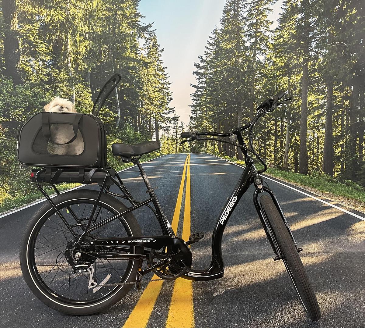 Pedego E-Bike Pet Carrier