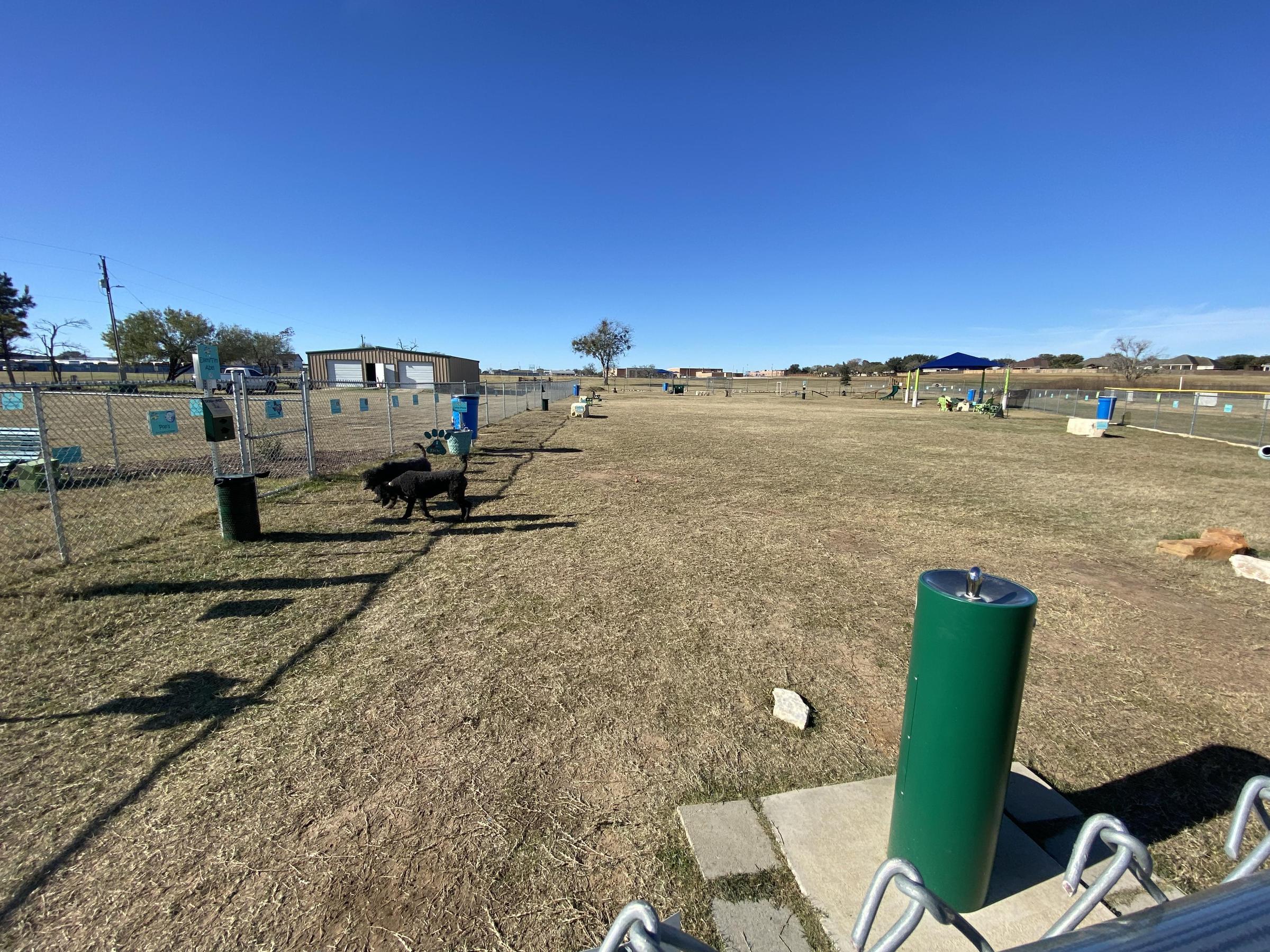 Pet Friendly Waggin Tails Dog Park