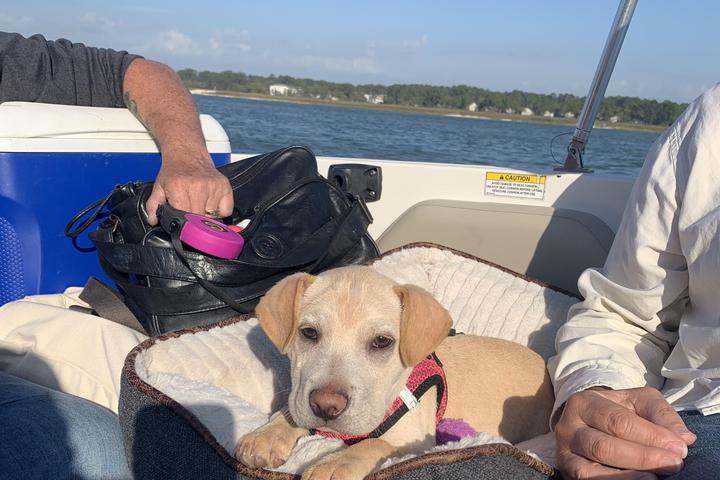Pet Friendly Infinity Charters