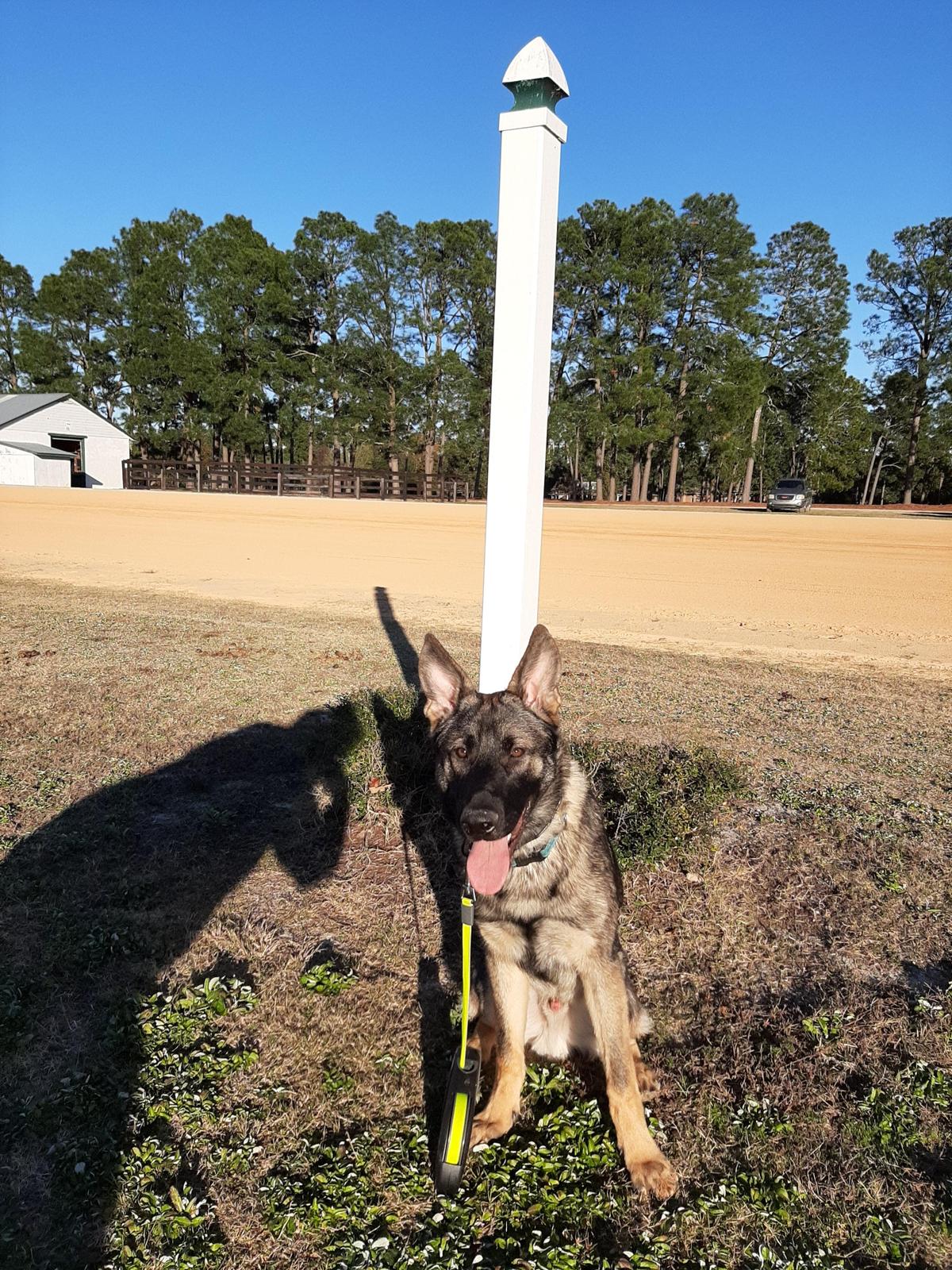 Pinehurst Harness Track