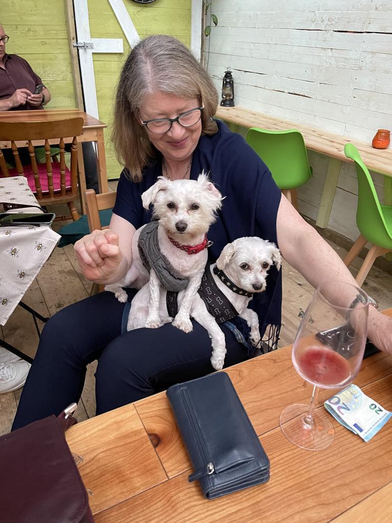 Pet Friendly The Gallery Cafe, Wine & Tapas Bar