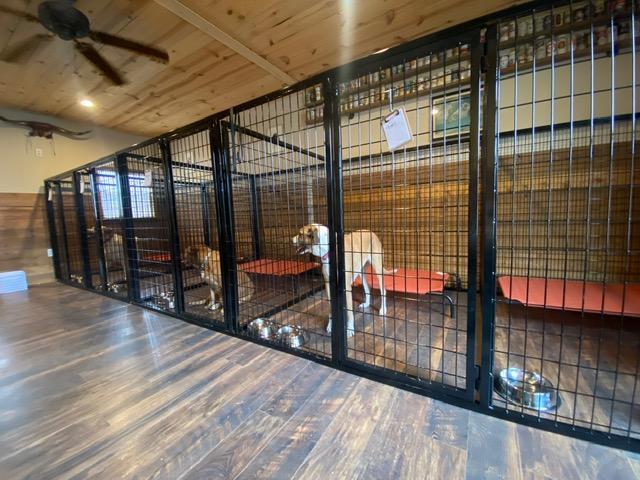 Pet Friendly The Wolff Den Small Animal Boarding