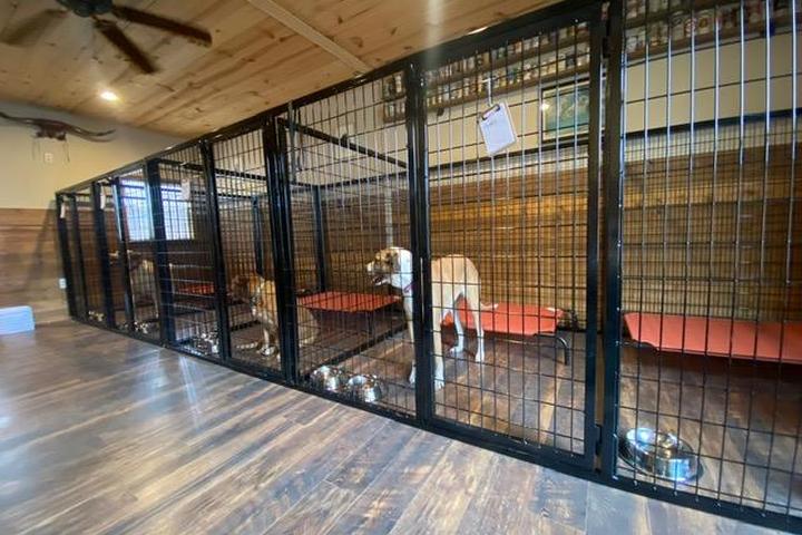 Pet Friendly The Wolff Den Small Animal Boarding