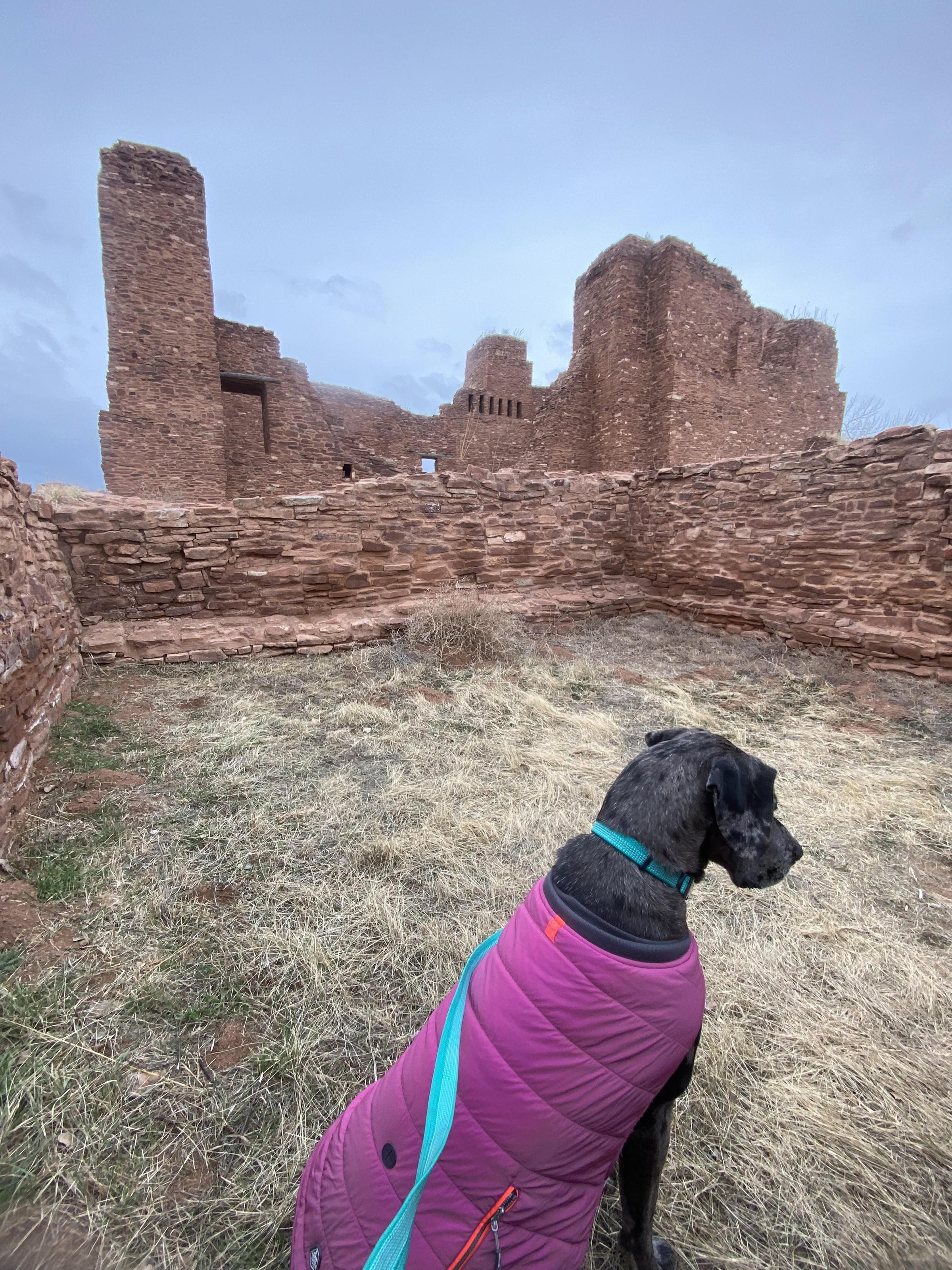 Pet Friendly Salinas Pueblo Missions National Monument
