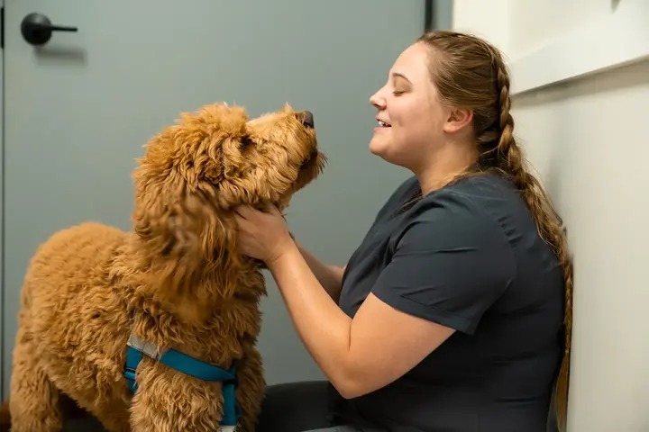 Pet Friendly My Pets Wellness — Franklin Westhaven