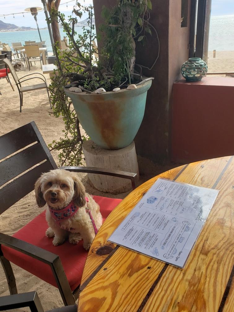 Pet Friendly Sunset Bar & Grill