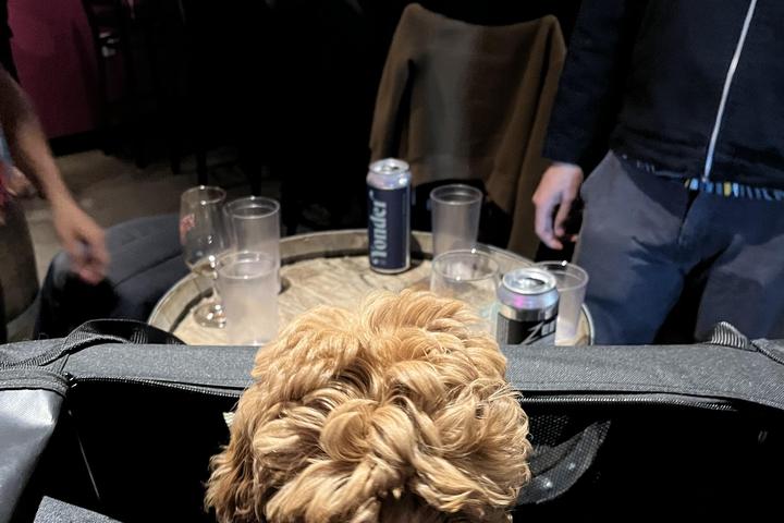 Pet Friendly Urban Family Brewing Co.