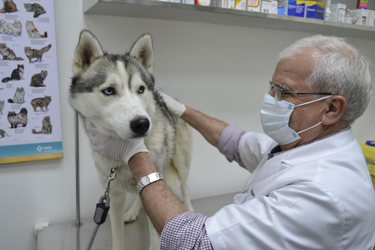Pet Friendly Al Hayat Veterinary Clinic