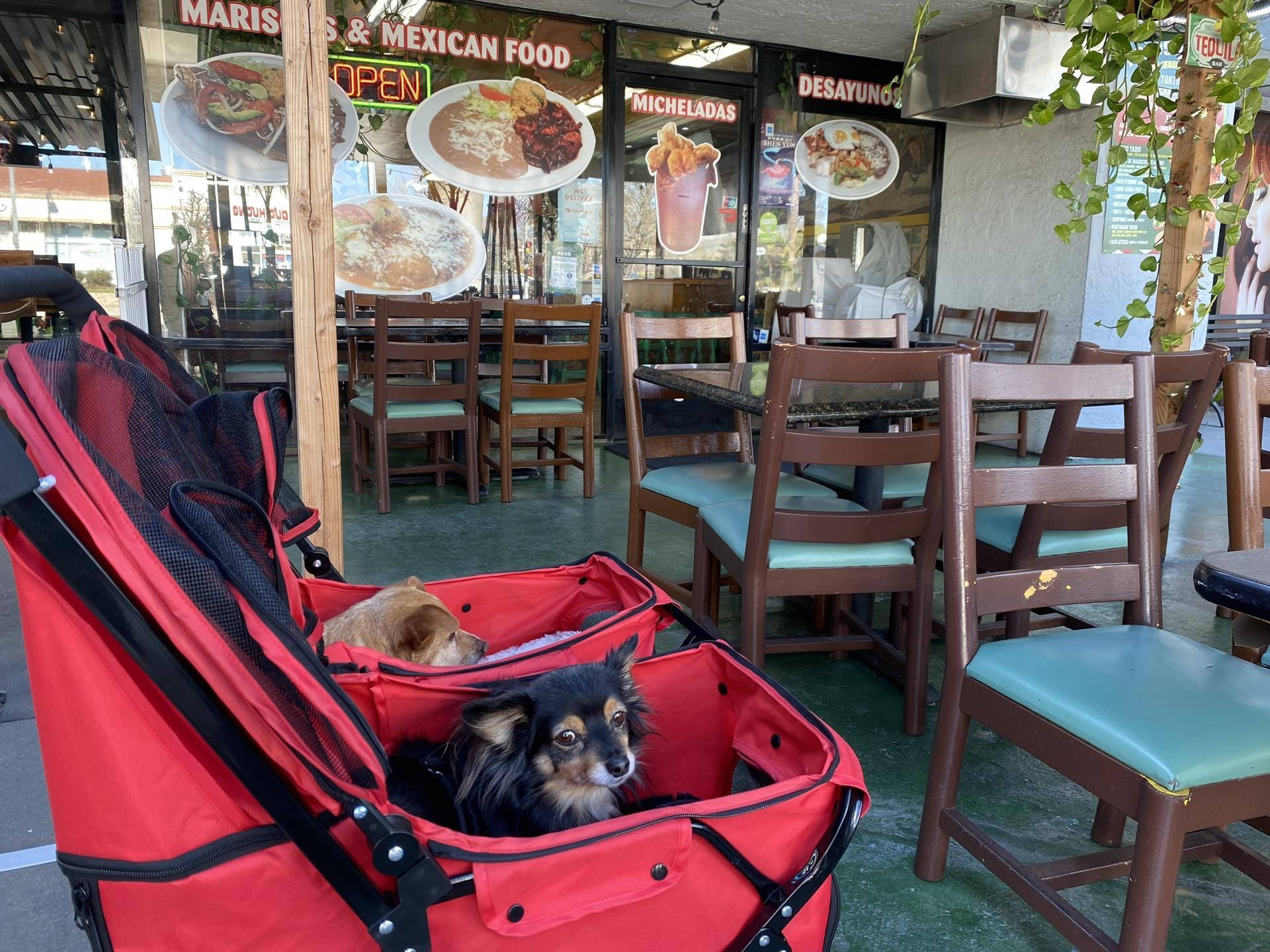 Dog Friendly Mexican Restaurants in Morgan Hill, CA - BringFido