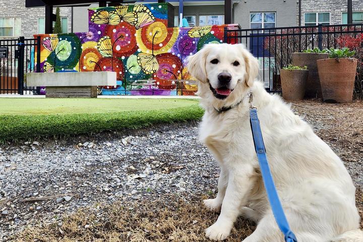 Pet Friendly Barks & Bites: Doggie Food Crawl on the Atlanta BeltLine