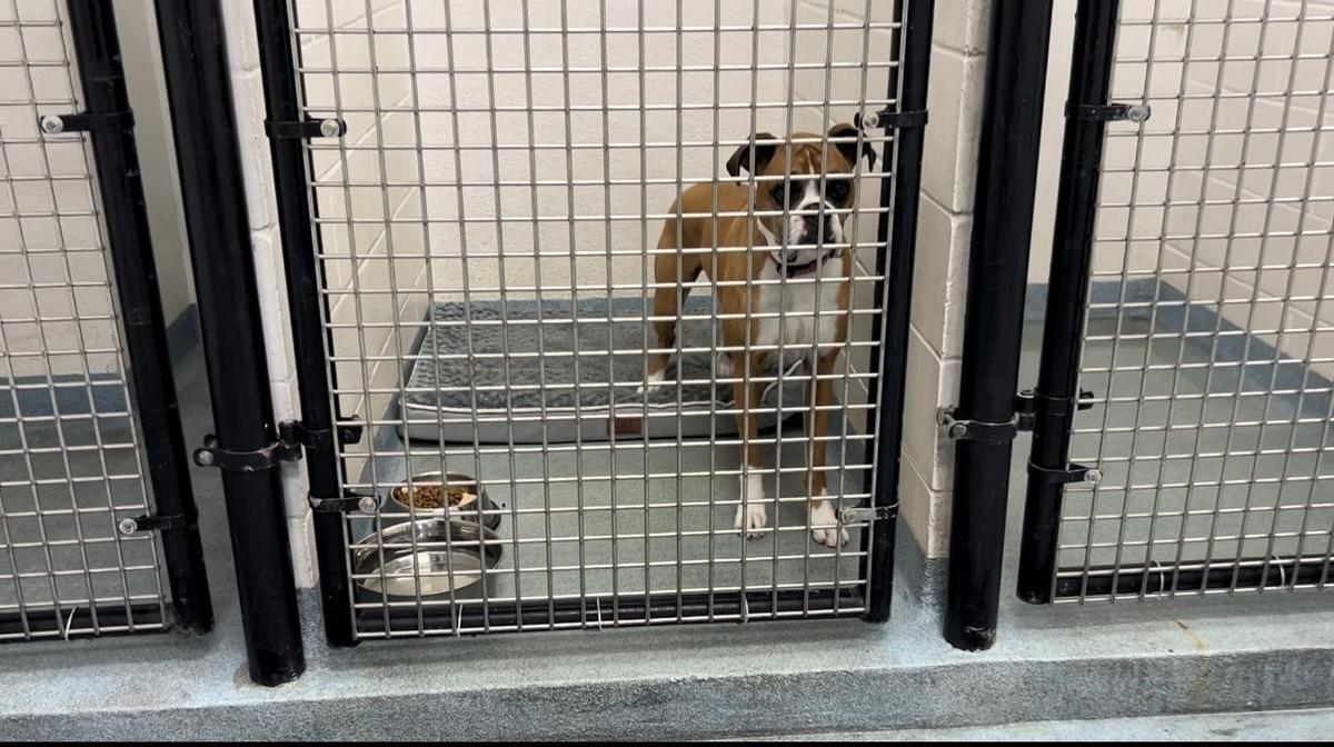 Kennedy Space Center Visitor Complex Kennel