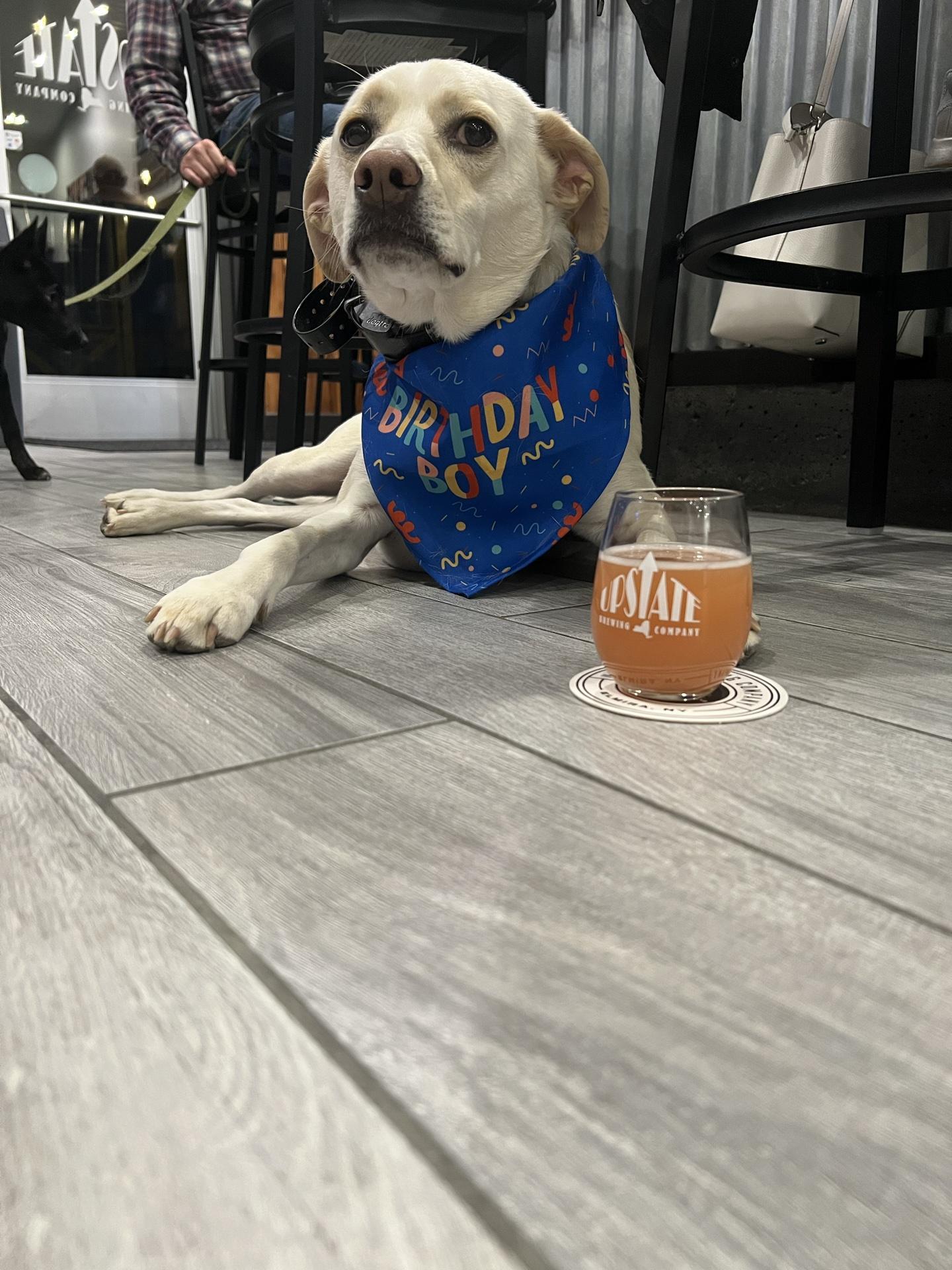Pet Friendly Upstate Brewing Company
