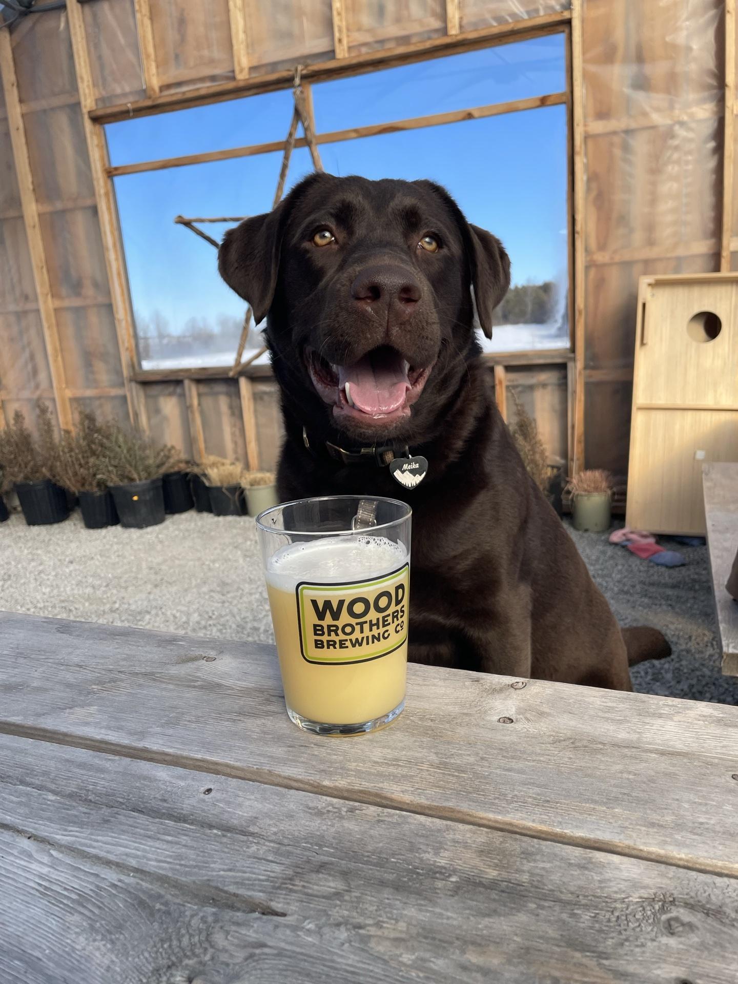 Pet Friendly Wood Brothers Brewing Company