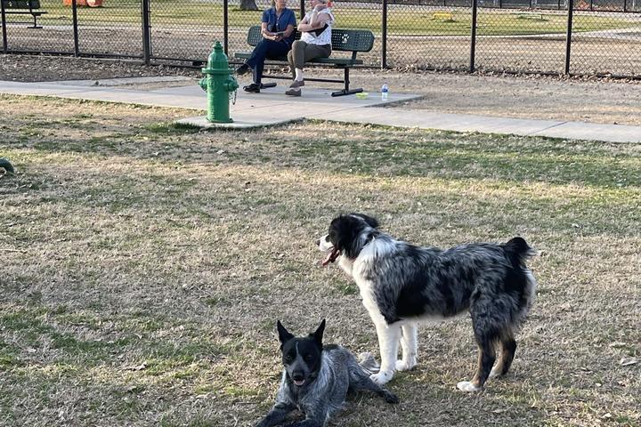 Pet Friendly City of Hurst Dog Park