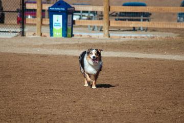 Stony Creek Dog Park