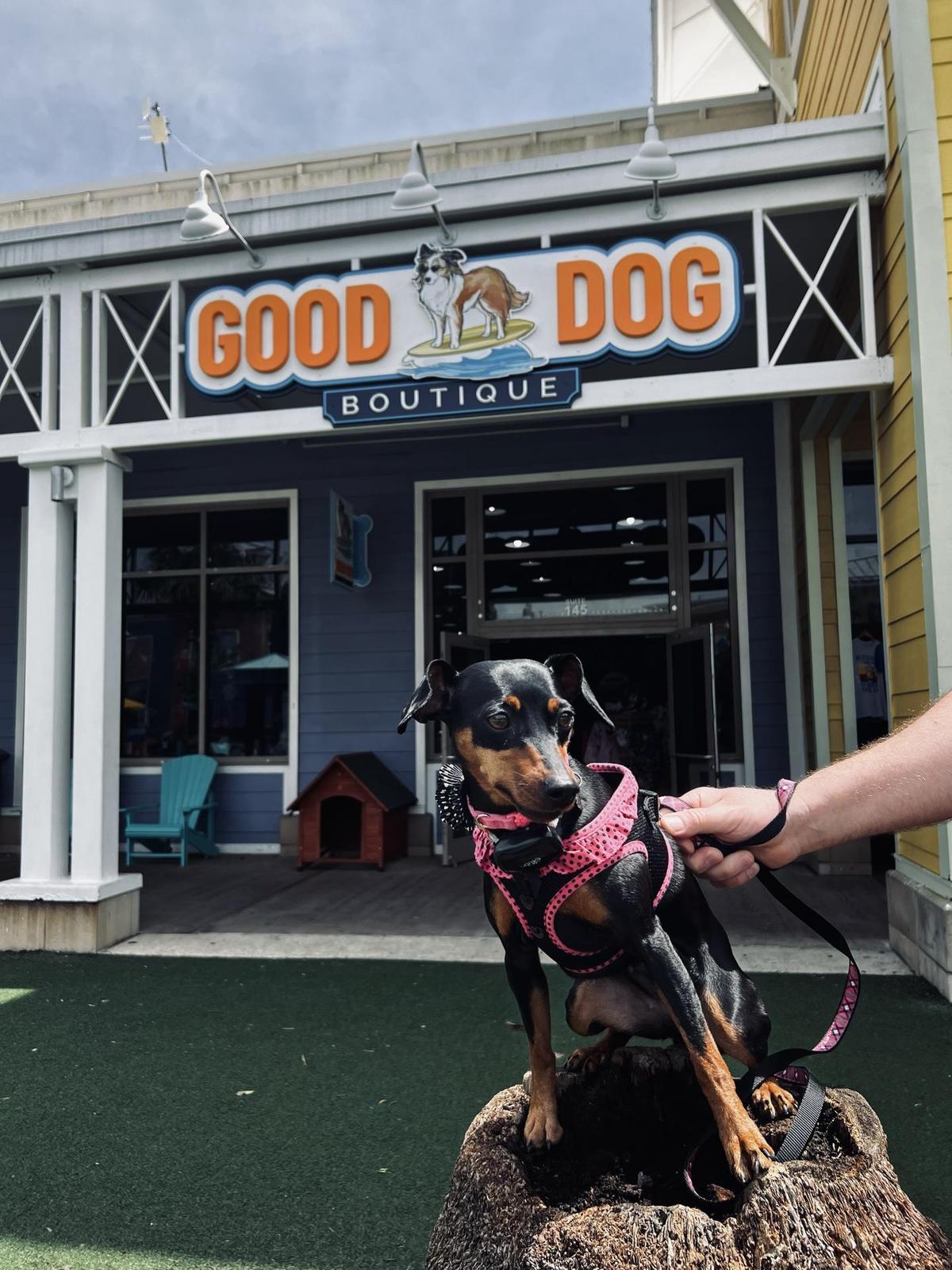 Good Dog Boutique