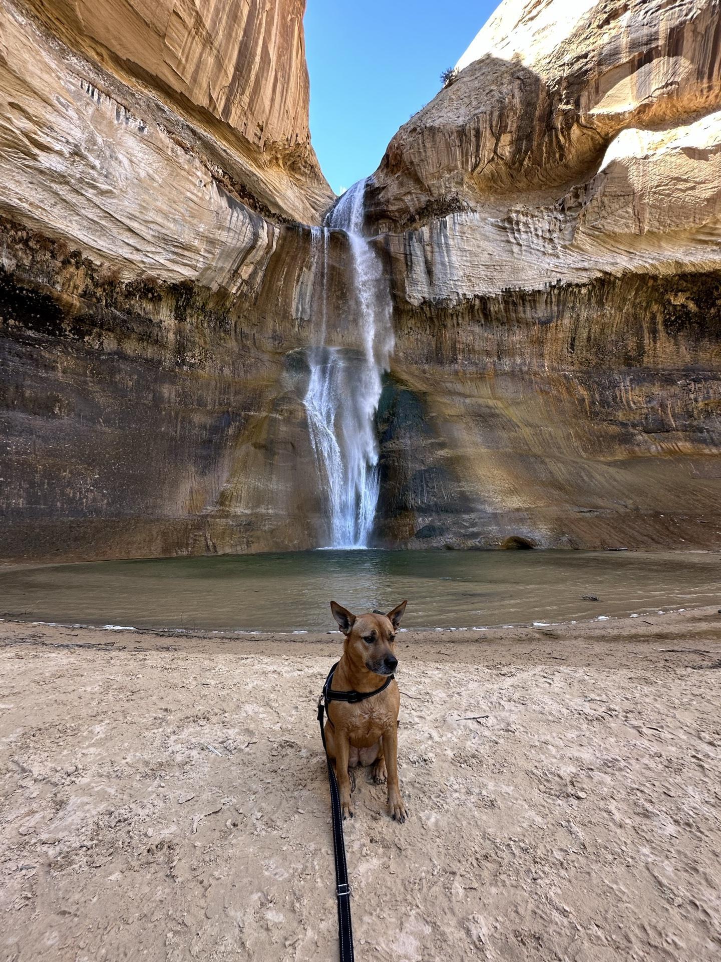 Pet Friendly Lower Calf Creek Falls