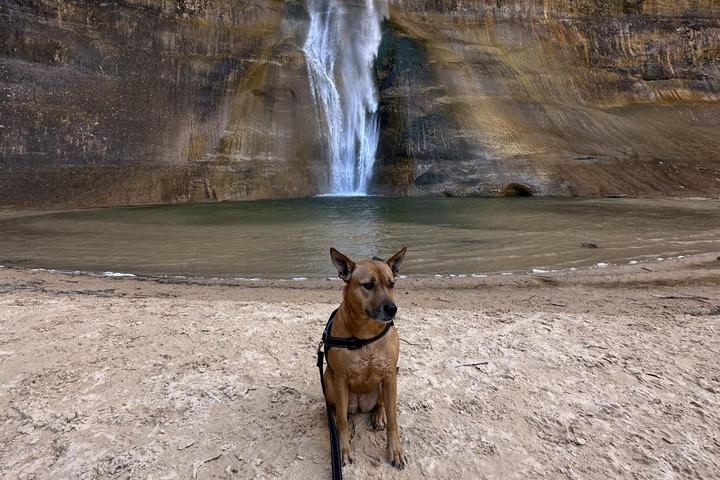 Pet Friendly Lower Calf Creek Falls
