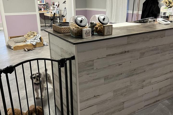 Directory of Dog Grooming in Minnesota BringFido